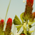 :iconjoues-roses: