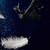:iconjourneyofafreeheart: