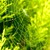JOV97 :iconjov97: