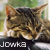 :iconjowka: