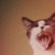 :iconjoxem: