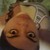 :iconjoycericardino:
