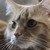 JoyfulBlu :iconjoyfulblu: