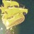 :iconjoyfuldeathxxx: