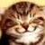 :iconjoyhuang: