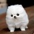 :iconjoyjoy986: