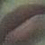 :iconjoyni: