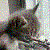 :iconjp-smelle: