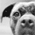 :iconjparchem: