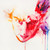 :iconjpeckarts: