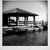 :iconjpete01: