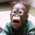 :iconjphilp: