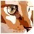 :iconjporky: