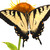 :iconjpsdk: