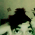 :iconjqded: