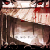 :iconjr0: