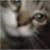 :iconjrelove: