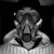 :iconjrfulci: