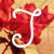 :iconjrock1over: