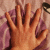 :iconjrp--dinde-du-main: