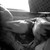 :iconjrrive2310: