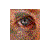 :iconjscdesigns:
