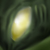 :iconjseverex:
