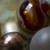 :iconjsp69138: