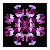 :iconjsphotographicart: