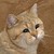 :iconjsuarez1337: