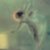 :iconjsuncatcher: