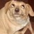 :iconjsx6x: