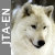 :iconjta-en: