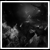 :iconjtb066: