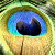 :iconjthgirls: