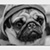 :iconjtphotos: