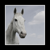 :iconjtpix: