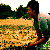 :iconjtwilson1991: