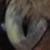 :iconju-simply-ju:
