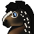 :iconjubjub18: