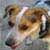 :iconJuca-O-Cachorro: