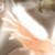 :iconjucelia: