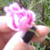 :iconjudaslupin: