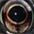 :iconJudasmunk: