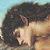 :iconjudefaun: