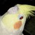 :iconjudgmentboy: