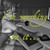 :iconjudibug: