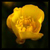 :iconjudo87: