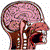 :iconjueves10: