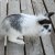 Jugglephoto :iconjugglephoto: